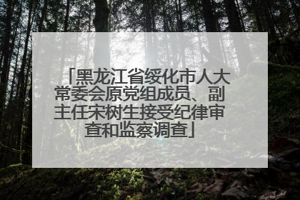 黑龙江省绥化市人大常委会原党组成员、副主任宋树生接受纪律审查和监察调查