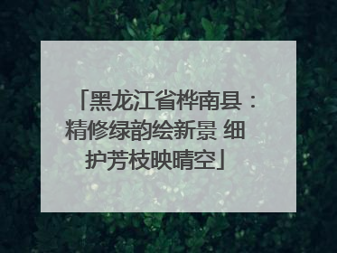 黑龙江省桦南县：精修绿韵绘新景 细护芳枝映晴空