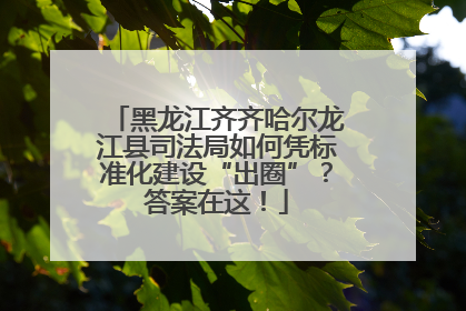 黑龙江齐齐哈尔龙江县司法局如何凭标准化建设“出圈”？答案在这！