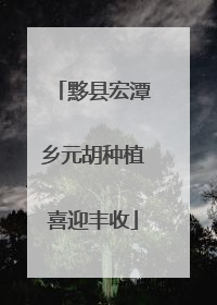 黟县宏潭乡元胡种植喜迎丰收
