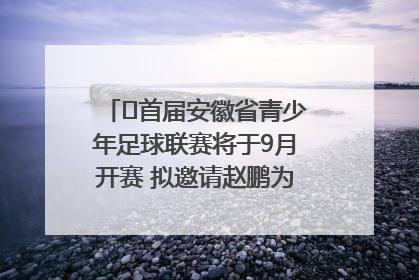 ﻿首届安徽省青少年足球联赛将于9月开赛 拟邀请赵鹏为先导赛开球