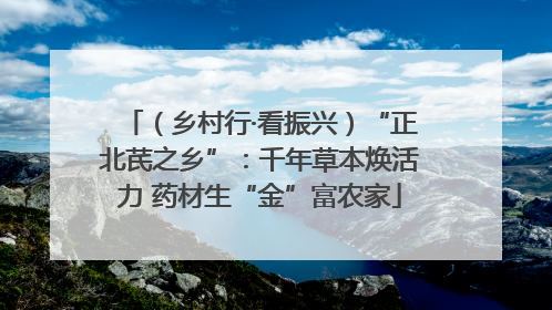 （乡村行·看振兴）“正北芪之乡”：千年草本焕活力 药材生“金”富农家