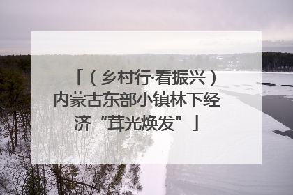 （乡村行·看振兴）内蒙古东部小镇林下经济“茸光焕发”