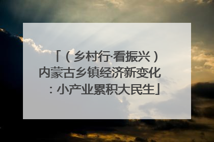 （乡村行·看振兴）内蒙古乡镇经济新变化：小产业累积大民生