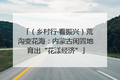 （乡村行·看振兴）荒沟变花海：内蒙古闲置地育出“花漾经济”