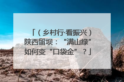 （乡村行·看振兴）陕西留坝：“满山绿”如何变“口袋金”？