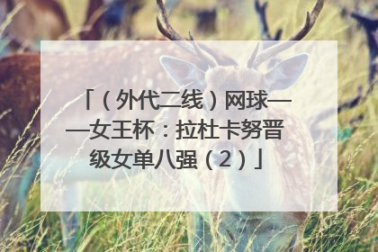 （外代二线）网球——女王杯：拉杜卡努晋级女单八强（2）