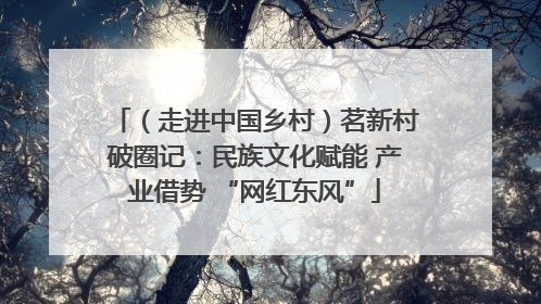 （走进中国乡村）茗新村破圈记：民族文化赋能 产业借势 “网红东风”