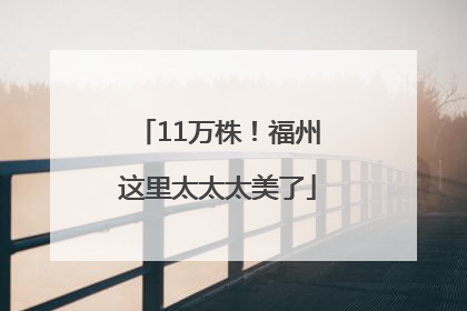 11万株！福州这里太太太美了