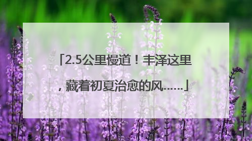 2.5公里慢道！丰泽这里，藏着初夏治愈的风……