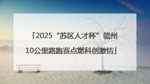 2025“苏区人才杯”赣州10公里路跑赛点燃科创激情