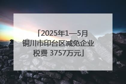2025年1—5月铜川市印台区减免企业税费 3757万元