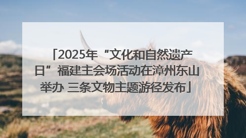 2025年“文化和自然遗产日”福建主会场活动在漳州东山举办 三条文物主题游径发布