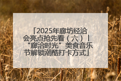 2025年廊坊经洽会亮点抢先看（六）丨“廊洽时光”美食音乐节解锁潮酷打卡方式