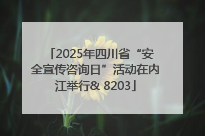 2025年四川省“安全宣传咨询日”活动在内江举行& 8203