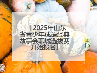 2025年山东省青少年成语经典故事会聊城选拔赛开始报名