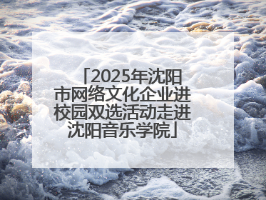 2025年沈阳市网络文化企业进校园双选活动走进沈阳音乐学院