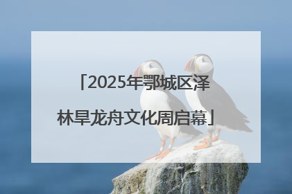 2025年鄂城区泽林旱龙舟文化周启幕