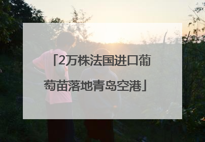 2万株法国进口葡萄苗落地青岛空港