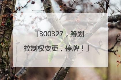 300327，筹划控制权变更，停牌！
