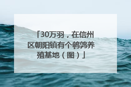 30万羽，在信州区朝阳镇有个鹌鹑养殖基地（图）