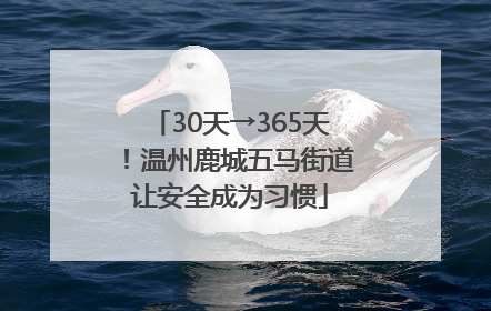 30天→365天！温州鹿城五马街道让安全成为习惯