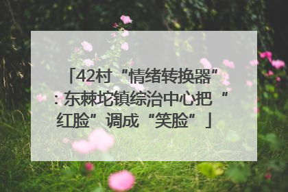 42村“情绪转换器”：东棘坨镇综治中心把“红脸”调成“笑脸”