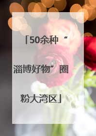 50余种“淄博好物”圈粉大湾区