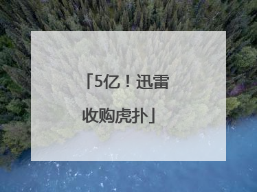 5亿！迅雷收购虎扑