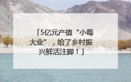 5亿元产值“小莓大业”，给了乡村振兴鲜活注脚！