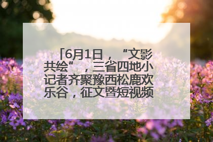 6月1日，“文影共绘”，三省四地小记者齐聚豫西松鹿欢乐谷，征文暨短视频大赛精彩启幕！