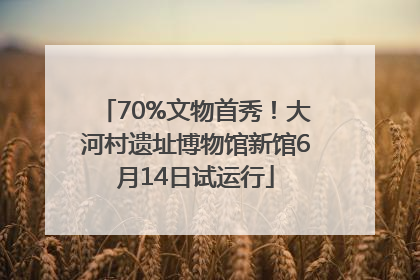 70%文物首秀！大河村遗址博物馆新馆6月14日试运行