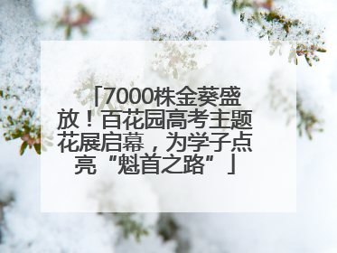 7000株金葵盛放！百花园高考主题花展启幕，为学子点亮“魁首之路”