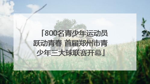 800名青少年运动员跃动青春 首届郑州市青少年三大球联赛开幕