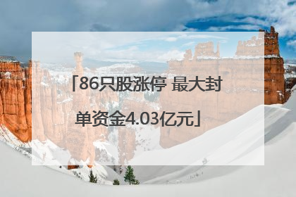86只股涨停 最大封单资金4.03亿元