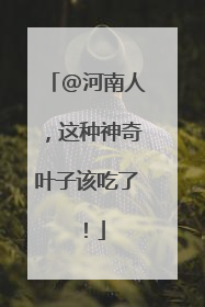 @河南人，这种神奇叶子该吃了！