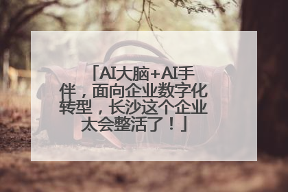 AI大脑+AI手伴，面向企业数字化转型，长沙这个企业太会整活了！