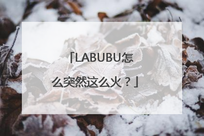 LABUBU怎么突然这么火？