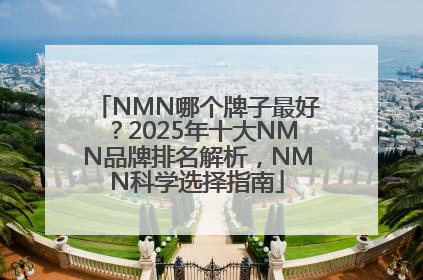 NMN哪个牌子最好？2025年十大NMN品牌排名解析，NMN科学选择指南