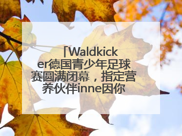 Waldkicker德国青少年足球赛圆满闭幕，指定营养伙伴inne因你陪伴少年前行